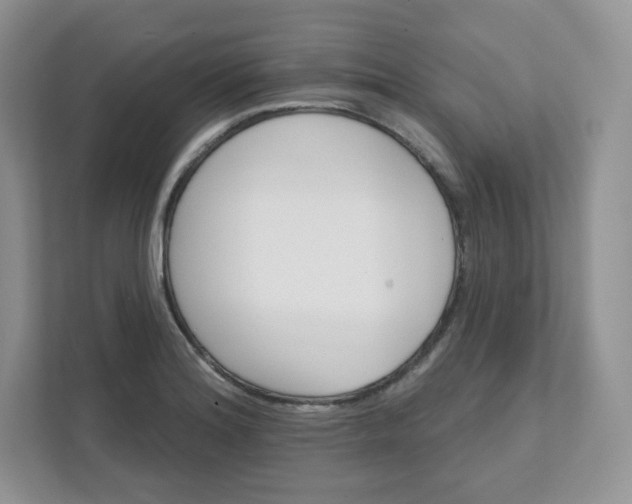 X0000111591180200907301420