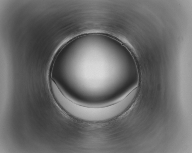 X0000111591181200907301420