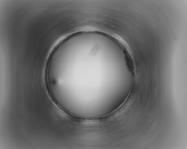 X0000111591183200907301420