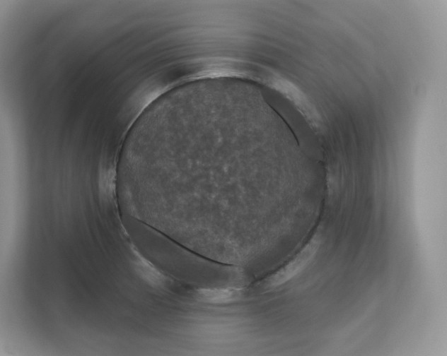 X0000111591185200907301420