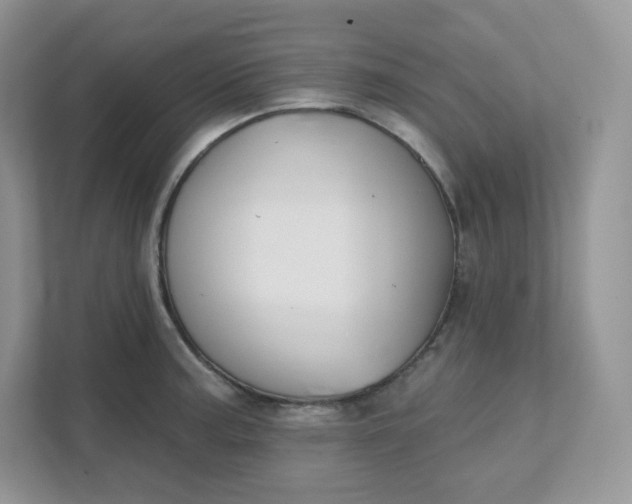 X0000111591187200907301420