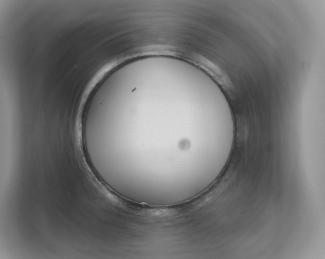 X0000111591188200907301420