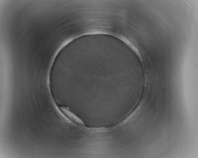 X0000111591189200907301420