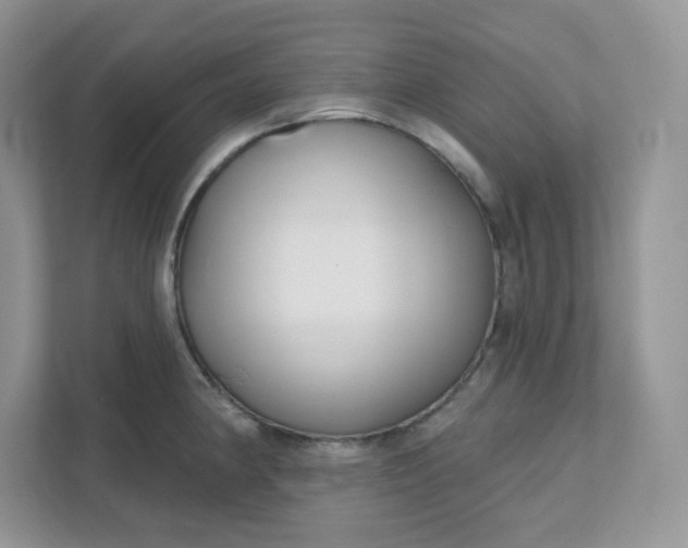 X0000111591190200907301420