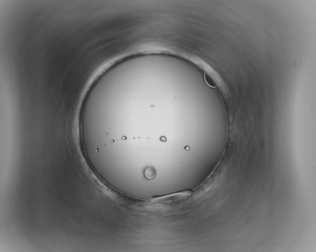 X0000111591191200907301420