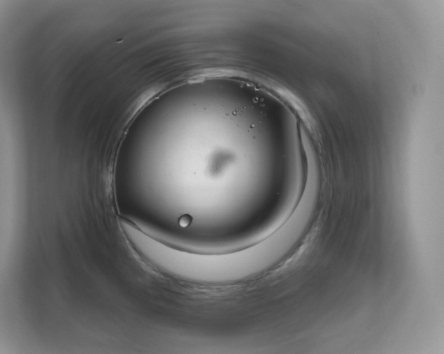 X0000111591193200907301420