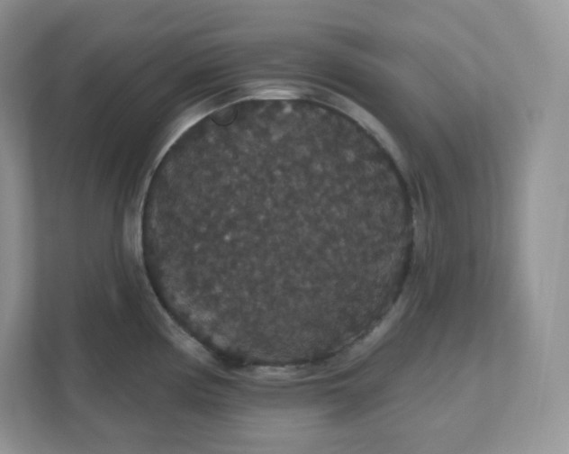 X0000111591194200907301420