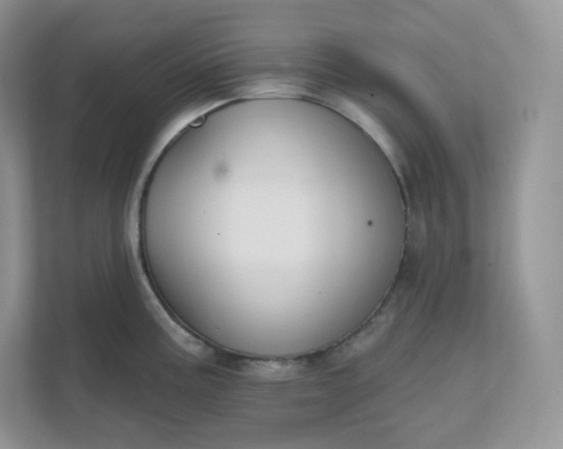 X0000111591195200907301420