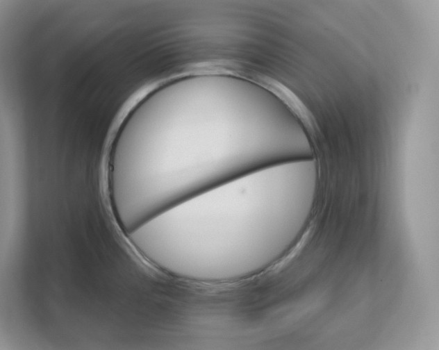 X0000111591196200907301420