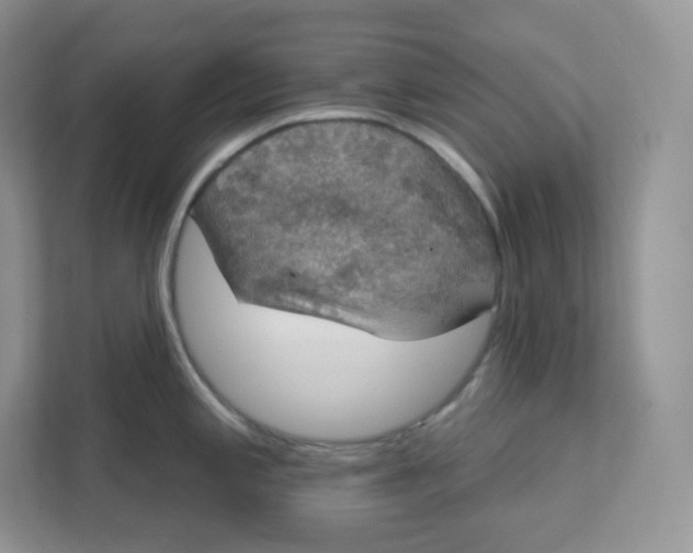 X0000111591197200907301420