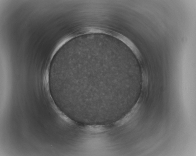 X0000111591198200907301420