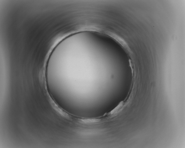 X0000111591200200907301420