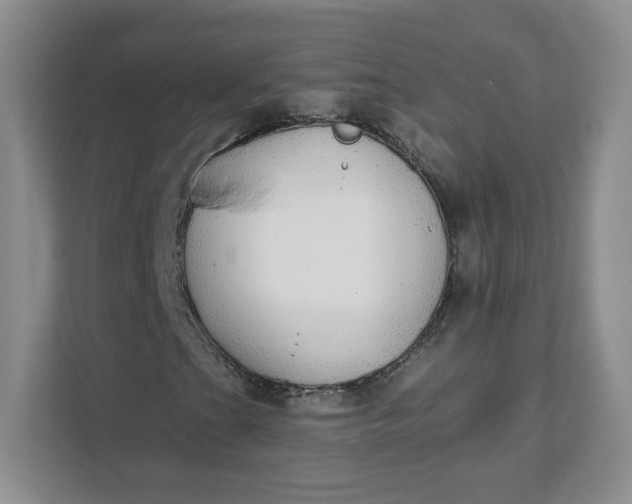 X0000111591201200907301419