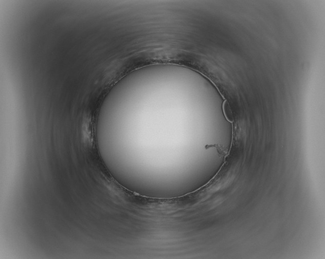 X0000111591202200907301419