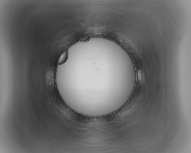 X0000111591203200907301419