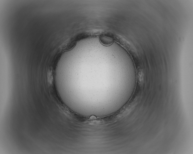 X0000111591204200907301419