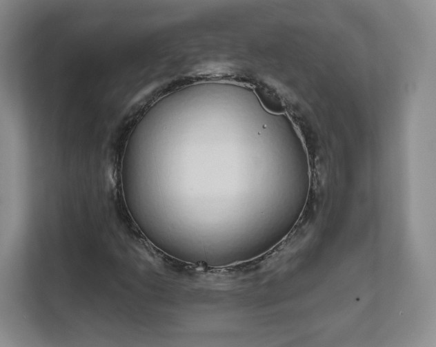 X0000111591206200907301419