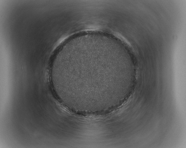 X0000111591208200907301419