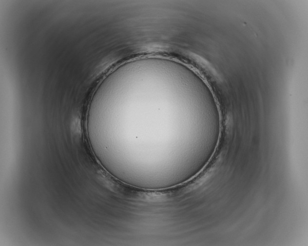 X0000111591209200907301419