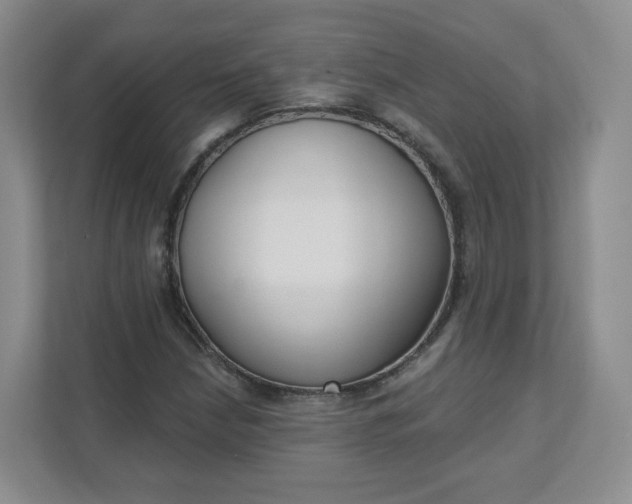 X0000111591210200907301419