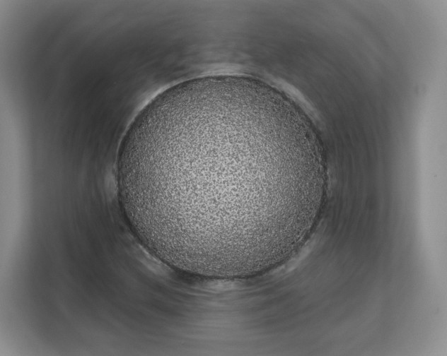 X0000111591212200907301419