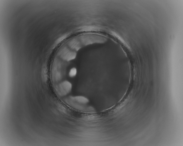 X0000111591213200907301419