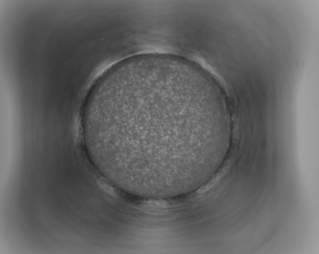 X0000111591215200907301419