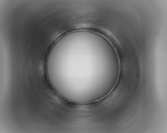 X0000111591217200907301419