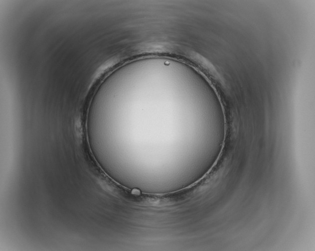 X0000111591218200907301419