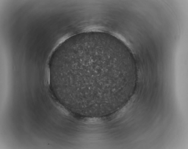 X0000111591219200907301419