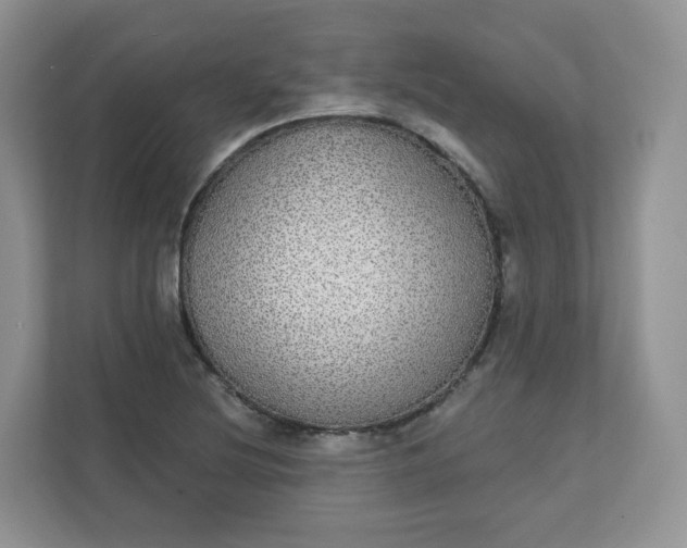 X0000111591220200907301419