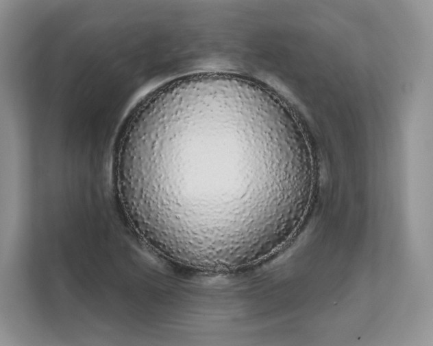 X0000111591222200907301419