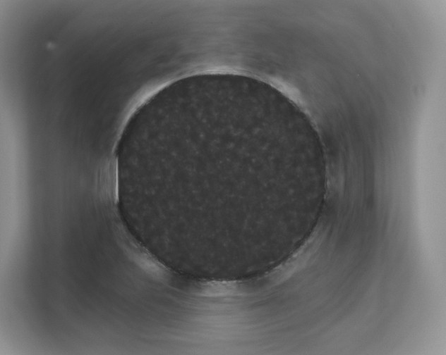 X0000111591223200907301419