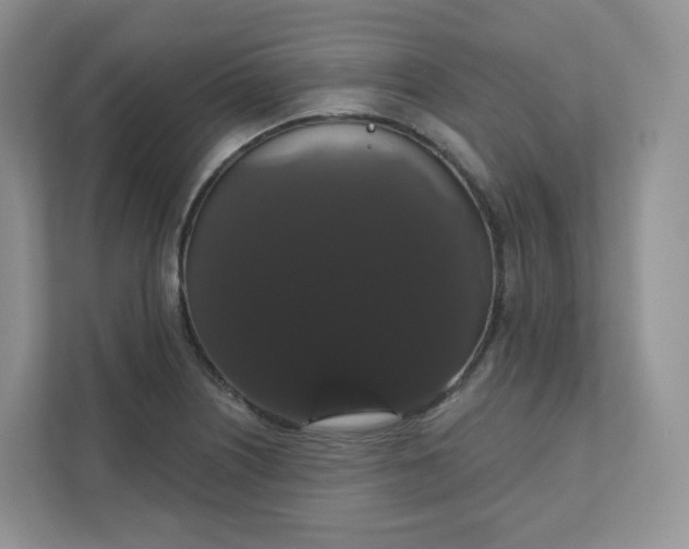 X0000111591226200907301419