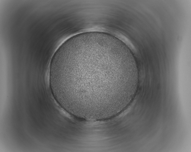 X0000111591228200907301419