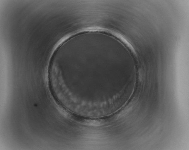 X0000111591229200907301419