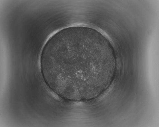 X0000111591230200907301419