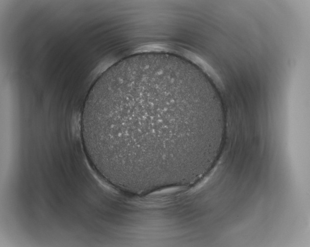 X0000111591233200907301419