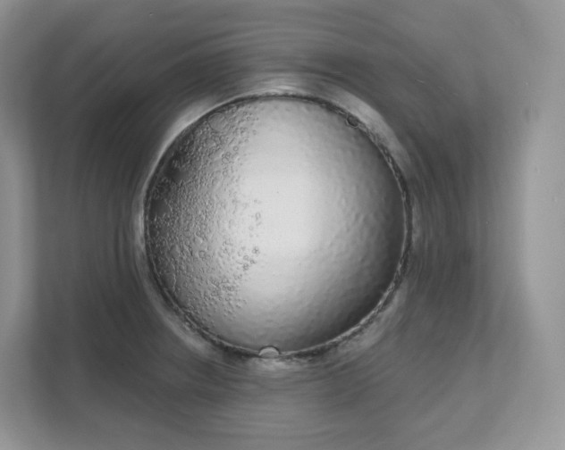 X0000111591234200907301419