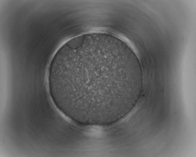 X0000111591235200907301419