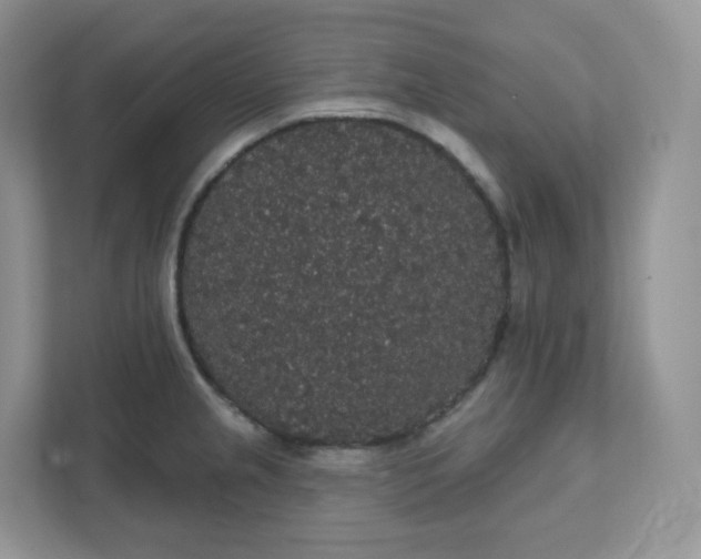 X0000111591237200907301419