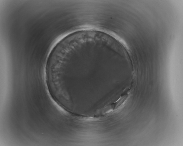 X0000111591239200907301419