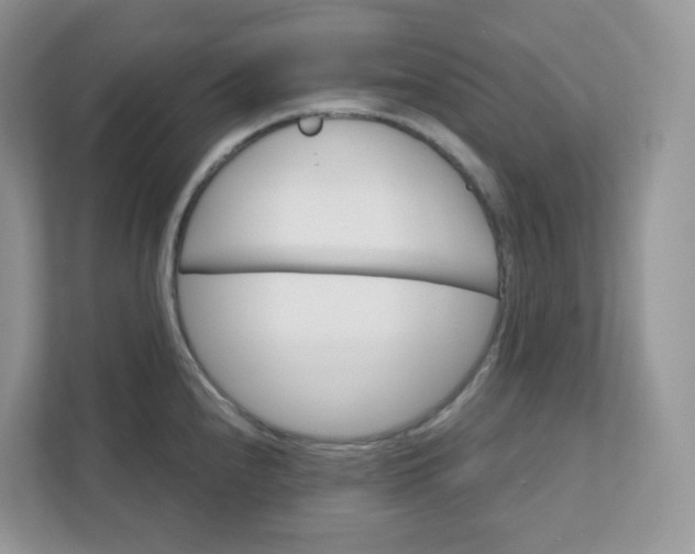 X0000111591240200907301420