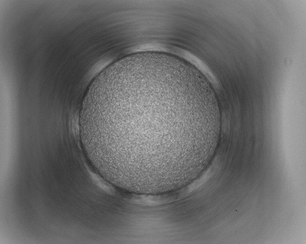 X0000111591241200907301420