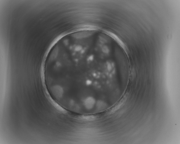 X0000111591243200907301420