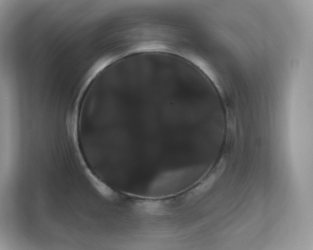 X0000111591245200907301420