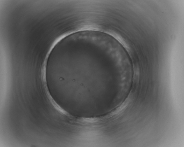 X0000111591246200907301420