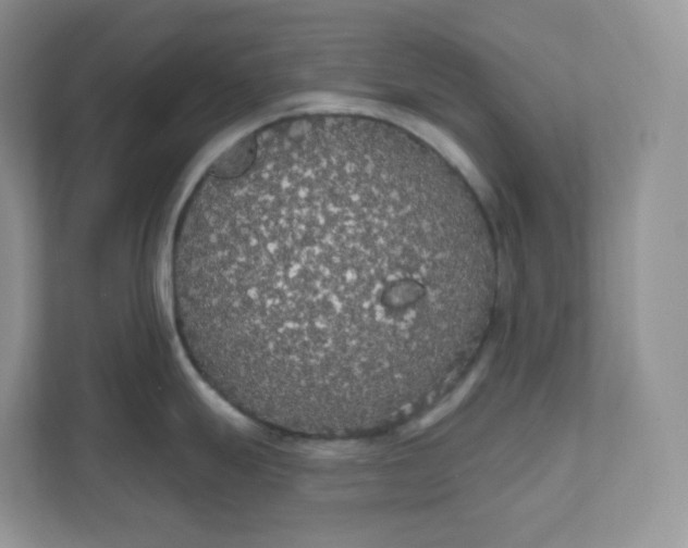 X0000111591247200907301420