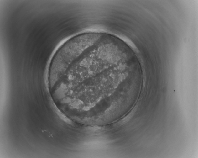 X0000111591248200907301420