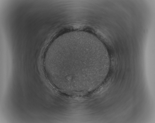 X0000111591249200907301419